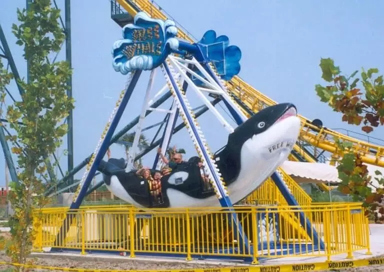 Free Whale New Ride Moser